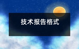 技術(shù)報告格式