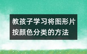 教孩子學習將圖形片按顏色分類的方法