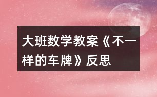 大班數學教案《不一樣的車牌》反思