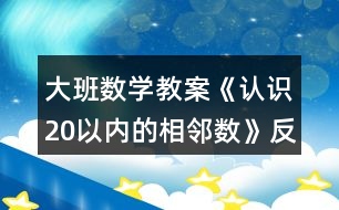 大班數(shù)學(xué)教案《認(rèn)識20以內(nèi)的相鄰數(shù)》反思