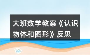 大班數(shù)學(xué)教案《認識物體和圖形》反思