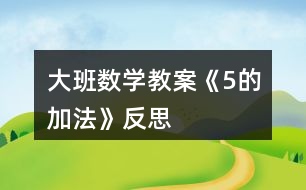 大班數(shù)學(xué)教案《5的加法》反思