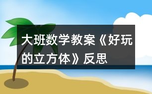 大班數(shù)學教案《好玩的立方體》反思