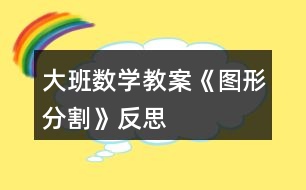 大班數(shù)學教案《圖形分割》反思