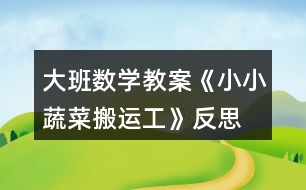 大班數(shù)學(xué)教案《小小蔬菜搬運(yùn)工》反思