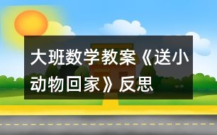 大班數(shù)學(xué)教案《送小動物回家》反思