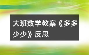 大班數(shù)學教案《多多少少》反思