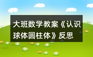 大班數(shù)學(xué)教案《認(rèn)識球體、圓柱體》反思