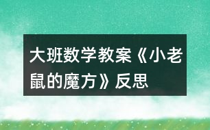 大班數(shù)學(xué)教案《小老鼠的魔方》反思