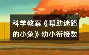 科學(xué)教案《幫助迷路的小兔》幼小銜接數(shù)學(xué)活動(dòng)120排序