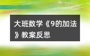 大班數(shù)學《9的加法》教案反思