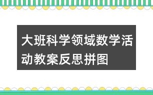 大班科學(xué)領(lǐng)域數(shù)學(xué)活動(dòng)教案反思拼圖