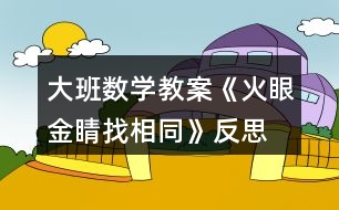 大班數(shù)學(xué)教案《火眼金睛找相同》反思