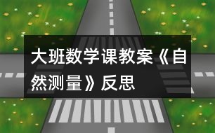 大班數(shù)學(xué)課教案《自然測(cè)量》反思