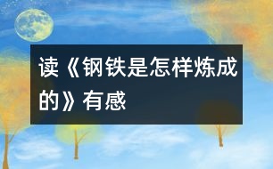 讀《鋼鐵是怎樣煉成的》有感