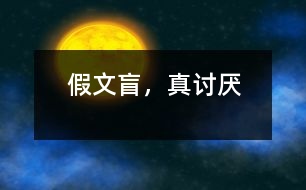 假文盲，真討厭