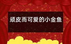 “頑皮”而可愛的小金魚