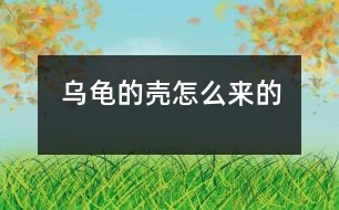 烏龜?shù)臍ぴ趺磥淼?></p>										
													 烏龜?shù)臍ぴ趺磥淼?/p>           江蘇省南京 力學小學一（四）班 李盛楠</p>          </p>                  從前，地球上只有一只烏龜，它沒有殼。<br>    有一天，它遇見了一只老虎，老虎想吃掉烏龜，烏龜?shù)纛^就跑，可是已經(jīng)晚了。老虎追上來剛要抓住它，烏龜急忙躲進一個殼里，老虎抓住那個殼，咬也咬不動，老虎只能垂頭喪氣地走了。可是，烏龜想出來也出不來了，過了很久，烏龜?shù)臍ぷ冃瘟?。后來，它生的孩子也成這模樣了。<br>    從此以后，烏龜有了一個保護殼。						</div>
						</div>
					</div>
					<div   id=