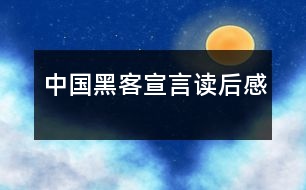 中國(guó)黑客宣言讀后感