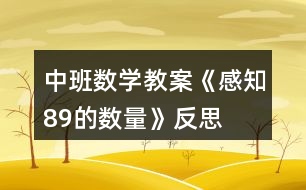 中班數(shù)學(xué)教案《感知8、9的數(shù)量》反思