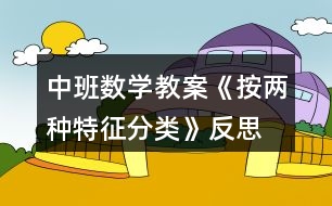 中班數(shù)學(xué)教案《按兩種特征分類》反思