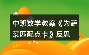 中班數(shù)學(xué)教案《為蔬菜匹配點(diǎn)卡》反思