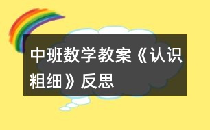 中班數(shù)學(xué)教案《認識粗細》反思