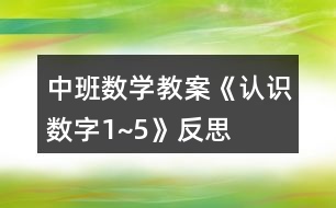 中班數(shù)學(xué)教案《認(rèn)識數(shù)字1~5》反思