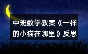 中班數(shù)學(xué)教案《一樣的小貓在哪里》反思