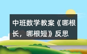 中班數(shù)學(xué)教案《哪根長(zhǎng)，哪根短》反思