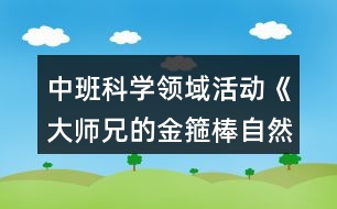 中班科學領域活動《大師兄的金箍棒自然測量》數(shù)學教案反思