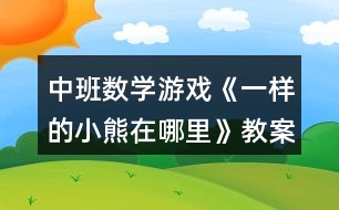 中班數(shù)學(xué)游戲《一樣的小熊在哪里》教案反思