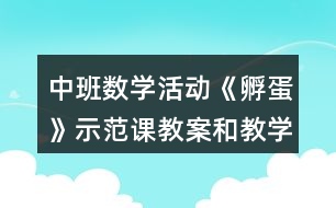 中班數(shù)學活動《孵蛋》示范課教案和教學反思