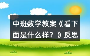 中班數(shù)學(xué)教案《看下面是什么樣？》反思