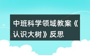 中班科學(xué)領(lǐng)域教案《認(rèn)識大樹》反思