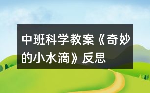 中班科學(xué)教案《奇妙的小水滴》反思