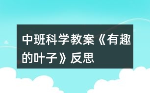 中班科學教案《有趣的葉子》反思