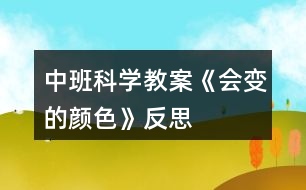 中班科學教案《會變的顏色》反思