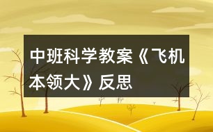 中班科學教案《飛機本領(lǐng)大》反思