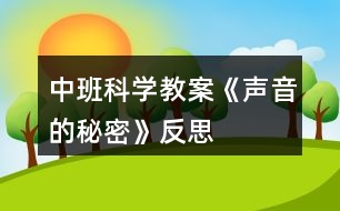 中班科學教案《聲音的秘密》反思