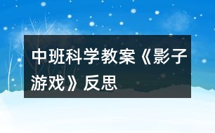 中班科學教案《影子游戲》反思