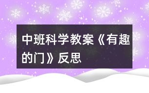 中班科學教案《有趣的門》反思