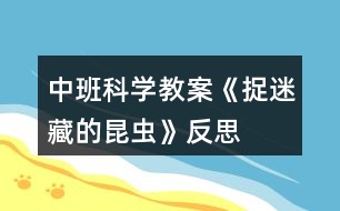 中班科學教案《捉迷藏的昆蟲》反思