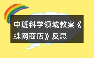 中班科學領域教案《蛛網(wǎng)商店》反思