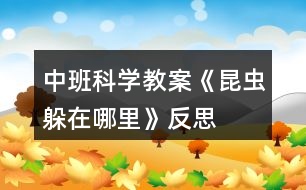 中班科學教案《昆蟲躲在哪里》反思