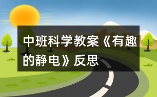 中班科學教案《有趣的靜電》反思