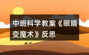 中班科學教案《眼睛變魔術》反思