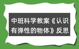 中班科學(xué)教案《認(rèn)識(shí)有彈性的物體》反思