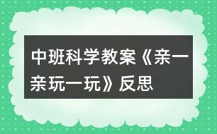 中班科學(xué)教案《親一親玩一玩》反思