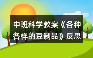 中班科學(xué)教案《各種各樣的豆制品》反思